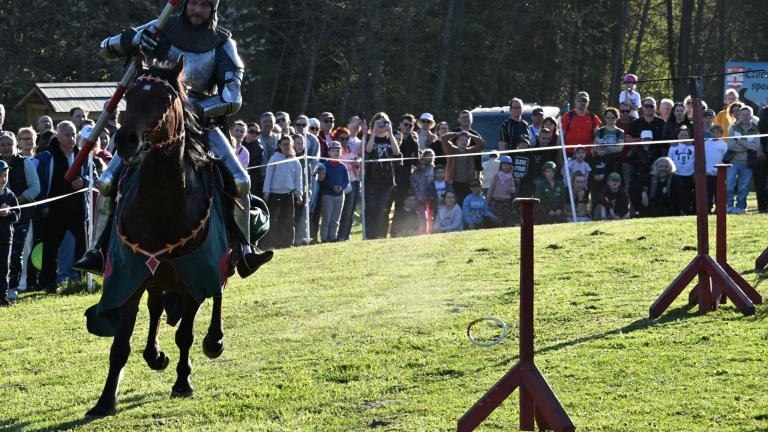pokazy konne (15).jpg