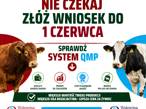 Ekoschemat „Dobrostan zwierząt”  Dodatkowe pieniądze dla hodowców z QMP – tylko do 1 czerwca!