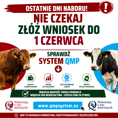 Ekoschemat „Dobrostan zwierząt”  Dodatkowe pieniądze dla hodowców z QMP – tylko do 1 czerwca!