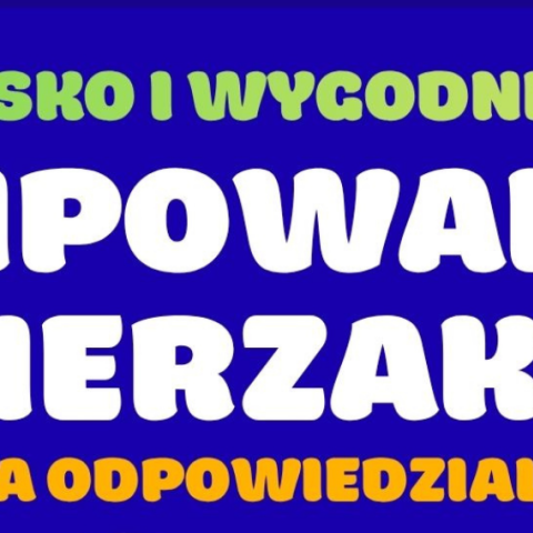 Akcja czipowania zwierząt w Gminie Czorsztyn! Tym razem zapraszamy do Sromowiec Wyżnych!