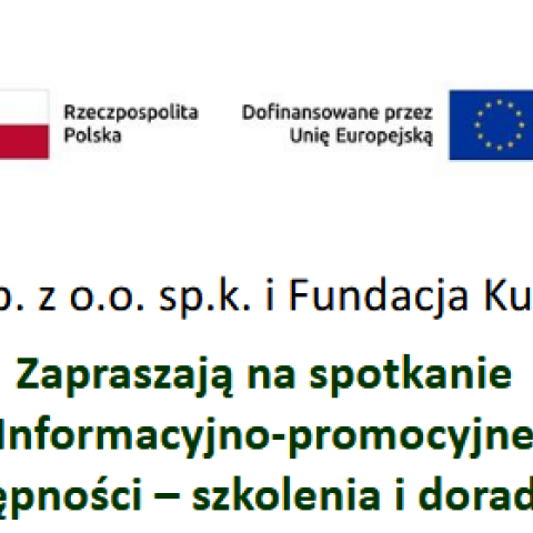 Spotkanie informacyjno-promocyjne projektu Instytut Dostępności - szkolenie i doradztwo dla firm