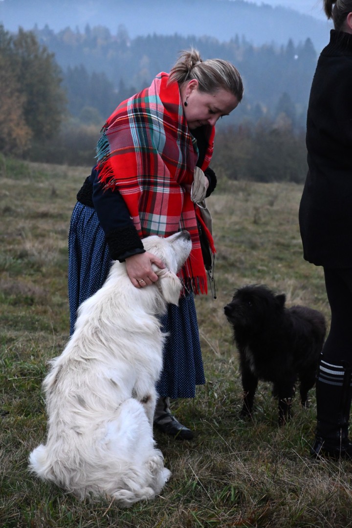DSC_1345 (Duże).JPG
