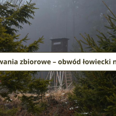 Polowania zbiorowe – obwód łowiecki nr 224