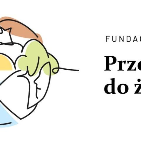 Badanie małopolskich NGO zajmujących się głównie lub między innymi ochroną środowiska, ekologią, klimatem