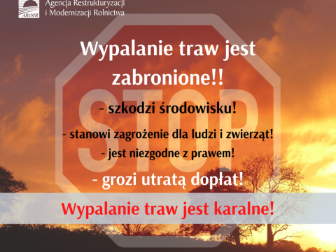 ARiMR przypomina: wypalanie traw jest karalne