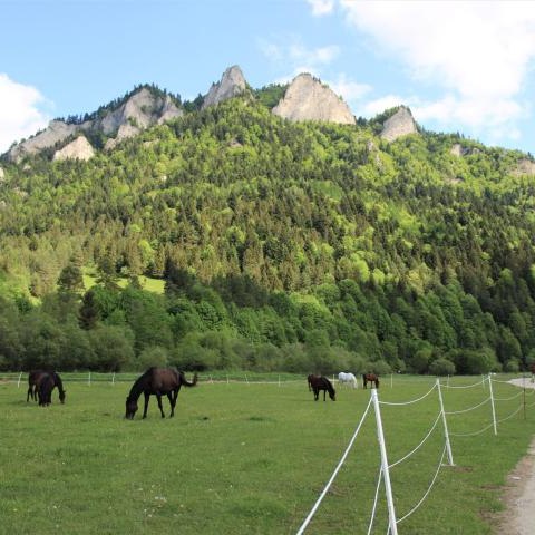 Ścieżka rowerowo-piesza wokół Tatr - Etap VI w Sromowcach Niżnych