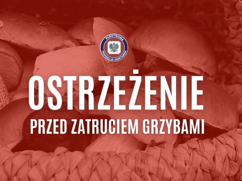 Bezpieczne grzybobranie