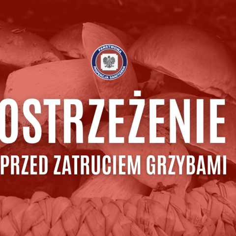 Bezpieczne grzybobranie