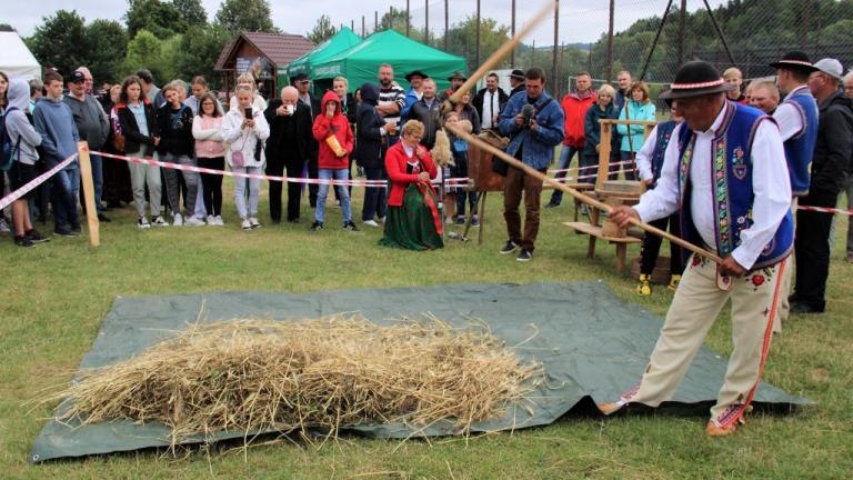 IMG_4542 (2) (1024x683).jpg