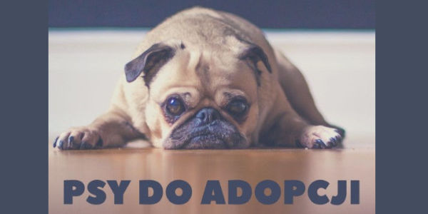 Link otwierany w nowym oknie