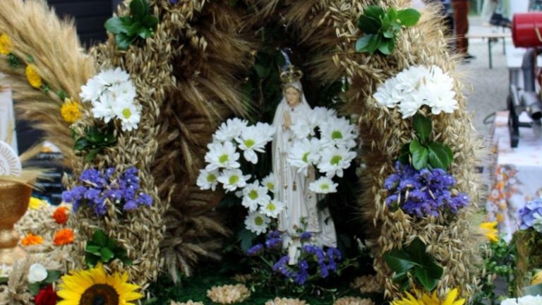 IMG_5608 (813x1280).jpg