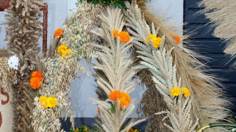 IMG_5613 (852x1280).jpg